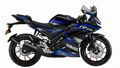 Decal kit for R15 V3